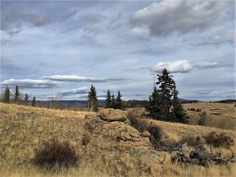 77 War Ct, Como, CO 80432 photo 6