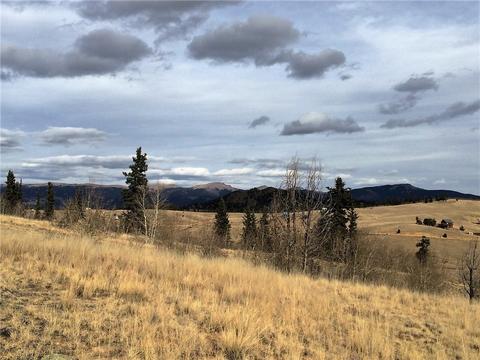 77 War Ct, Como, CO 80432 photo 1
