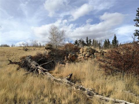 77 War Ct, Como, CO 80432 photo 4