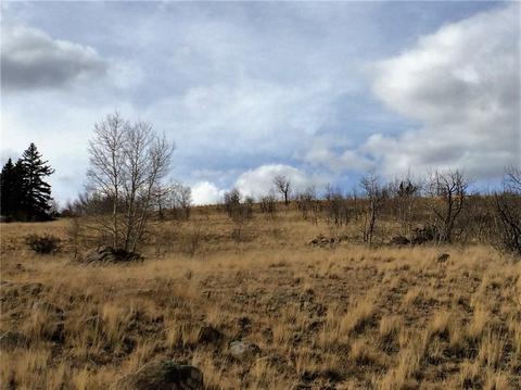 77 War Ct, Como, CO 80432 photo 3