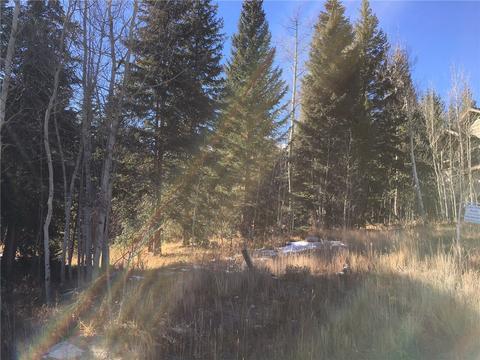 715 Willowbrook Rd, Silverthorne, CO 80498 photo 19