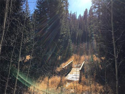 715 Willowbrook Rd, Silverthorne, CO 80498 photo 11