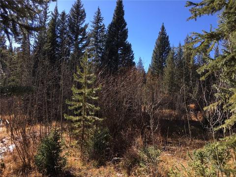 715 Willowbrook Rd, Silverthorne, CO 80498 photo 16