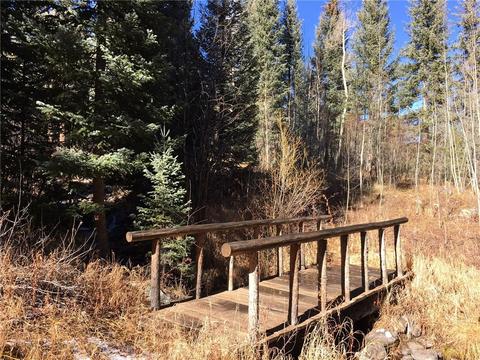 715 Willowbrook Rd, Silverthorne, CO 80498 photo 6