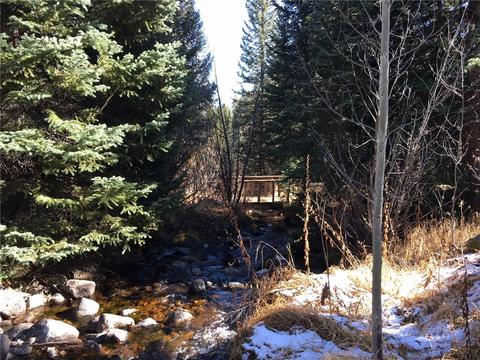 715 Willowbrook Rd, Silverthorne, CO 80498 photo 2