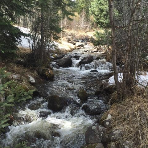 715 Willowbrook Rd, Silverthorne, CO 80498 photo 9