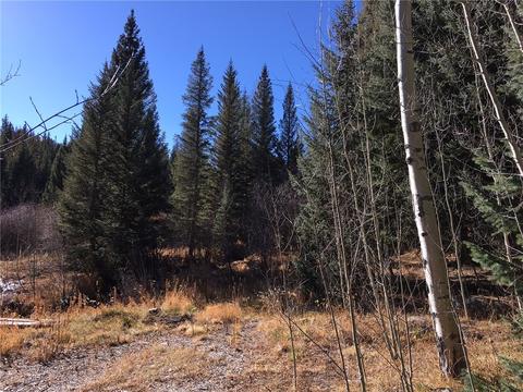 715 Willowbrook Rd, Silverthorne, CO 80498 photo 4