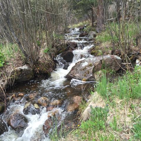 715 Willowbrook Rd, Silverthorne, CO 80498 photo 7