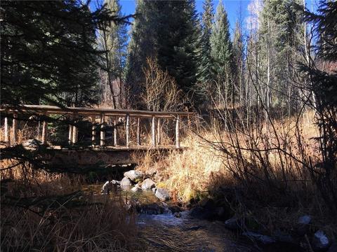 715 Willowbrook Rd, Silverthorne, CO 80498 photo 5