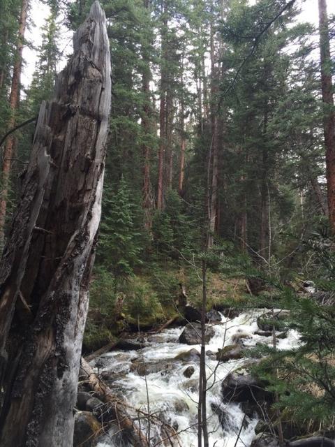 715 Willowbrook Rd, Silverthorne, CO 80498 photo 3