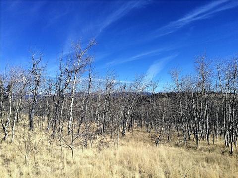343 Apache Trl, Como, CO 80432 photo 12