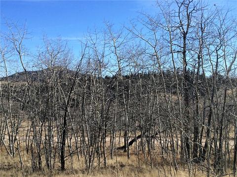 343 Apache Trl, Como, CO 80432 photo 11