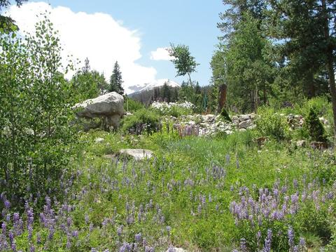 712 Willowbrook Rd, Silverthorne, CO 80498 photo 21