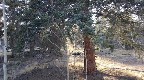 427 Old Squaw Rd, Como, CO 80432 photo 16