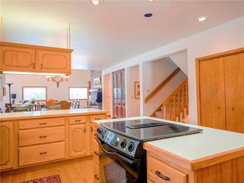 1321 Rainbow Dr, Silverthorne, CO 80498 photo 7