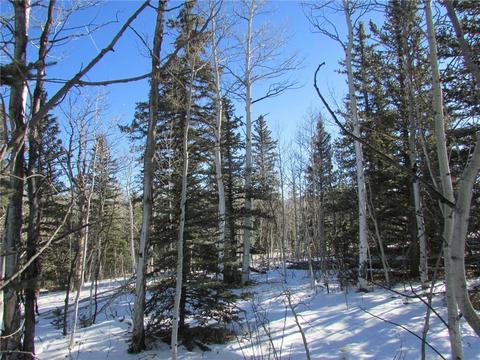 637 Smith And Wesson Rd, Como, CO 80432 photo 3