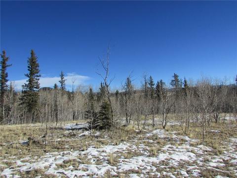 637 Smith And Wesson Rd, Como, CO 80432 photo 2