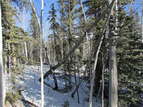 637 Smith And Wesson Rd, Como, CO 80432 photo 6