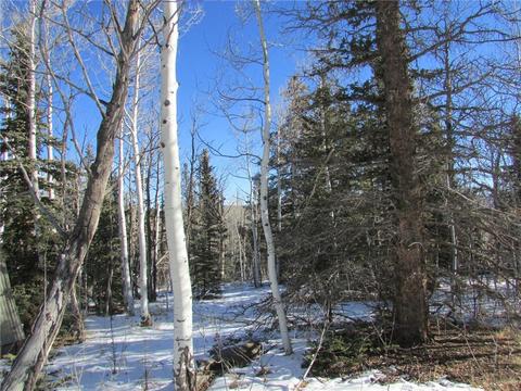 637 Smith And Wesson Rd, Como, CO 80432 photo 4