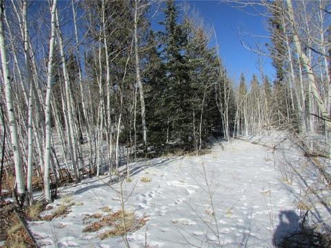 637 Smith And Wesson Rd, Como, CO 80432 photo 5