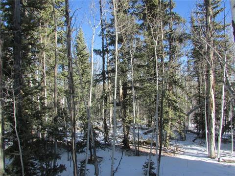 637 Smith And Wesson Rd, Como, CO 80432 photo 1