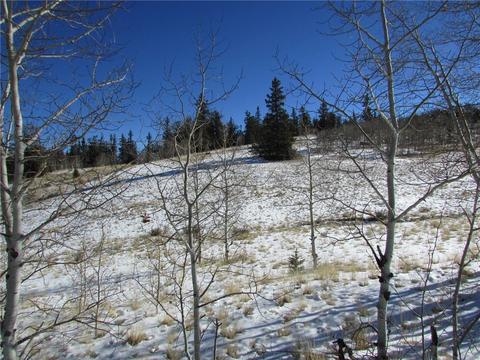 640 Smith And Wesson Rd, Como, CO 80432 photo 3