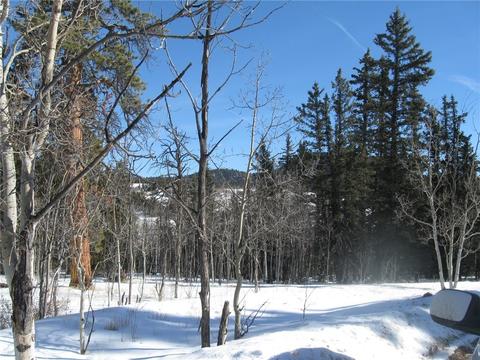 331 Sharps Way, Como, CO 80432 photo 4
