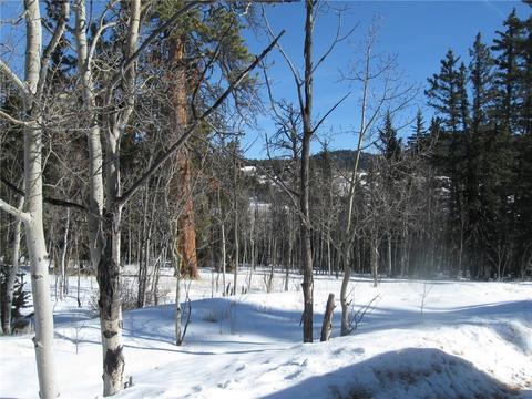 331 Sharps Way, Como, CO 80432 photo 1
