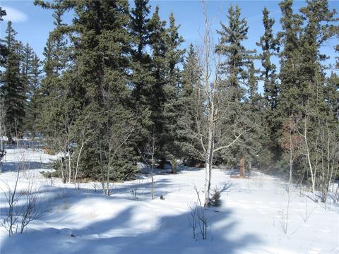 331 Sharps Way, Como, CO 80432 photo 3