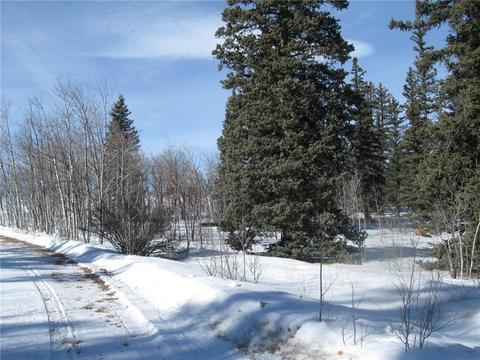 331 Sharps Way, Como, CO 80432 photo 5