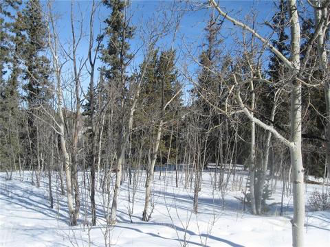 331 Sharps Way, Como, CO 80432 photo 2