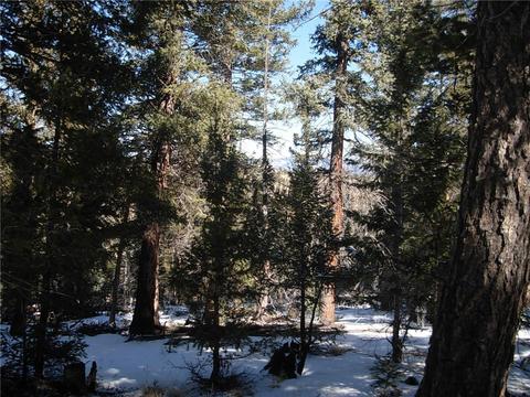 359 Mountain Vis, Como, CO 80432 photo 10