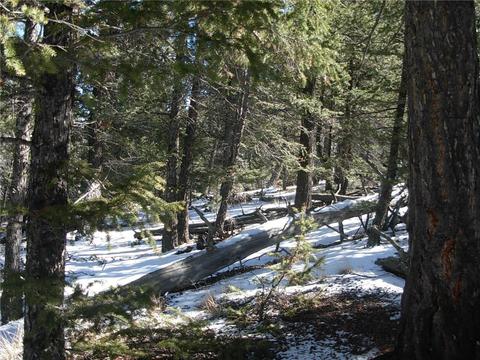 359 Mountain Vis, Como, CO 80432 photo 18