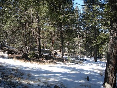 359 Mountain Vis, Como, CO 80432 photo 9