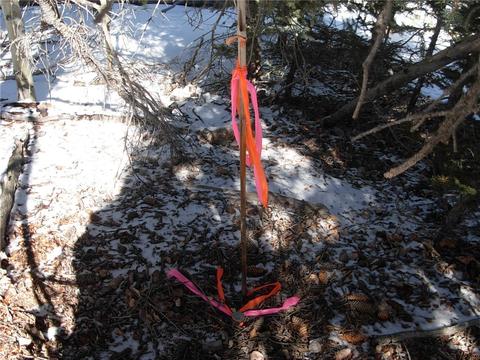 359 Mountain Vis, Como, CO 80432 photo 2