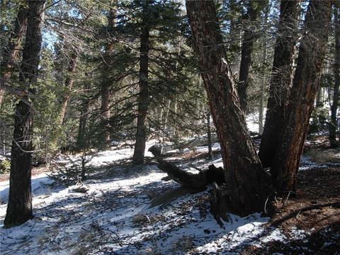 359 Mountain Vis, Como, CO 80432 photo 23