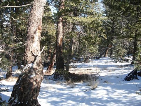 359 Mountain Vis, Como, CO 80432 photo 17