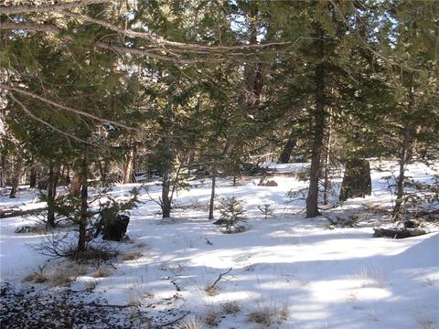 359 Mountain Vis, Como, CO 80432 photo 21