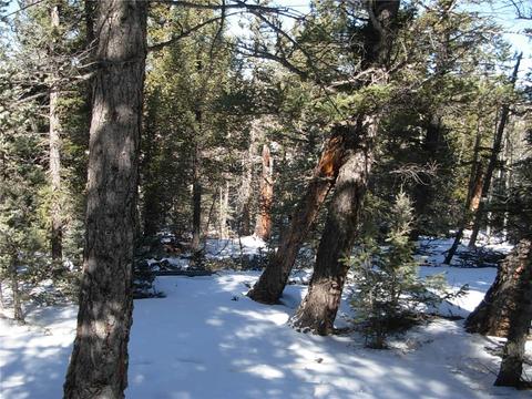 359 Mountain Vis, Como, CO 80432 photo 20