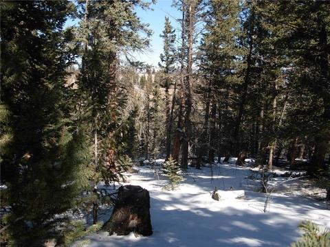 359 Mountain Vis, Como, CO 80432 photo 8