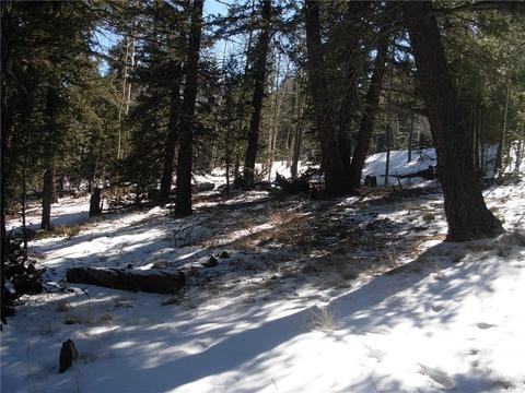 359 Mountain Vis, Como, CO 80432 photo 22