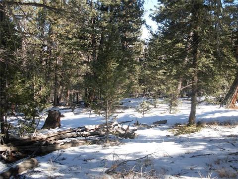 359 Mountain Vis, Como, CO 80432 photo 24