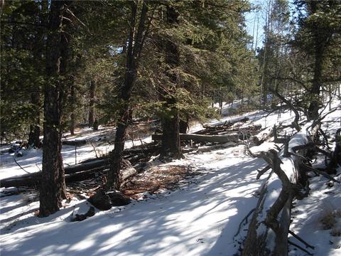 359 Mountain Vis, Como, CO 80432 photo 19