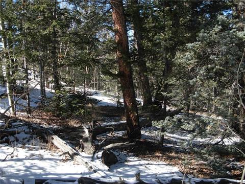 359 Mountain Vis, Como, CO 80432 photo 7