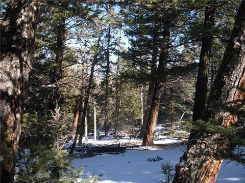 359 Mountain Vis, Como, CO 80432 photo 12