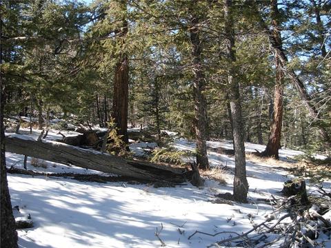 359 Mountain Vis, Como, CO 80432 photo 11