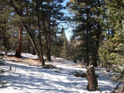 359 Mountain Vis, Como, CO 80432 photo 13