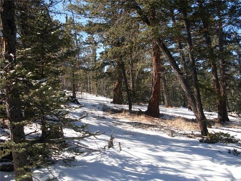 359 Mountain Vis, Como, CO 80432 photo 14