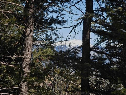 359 Mountain Vis, Como, CO 80432 photo 15