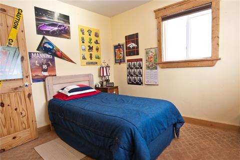 141 Riley Rd, Silverthorne, CO 80498 photo 8